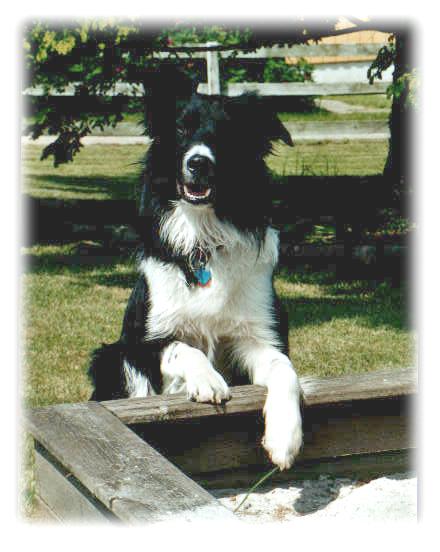 440*552 - 35958 Byte