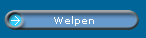 Welpen