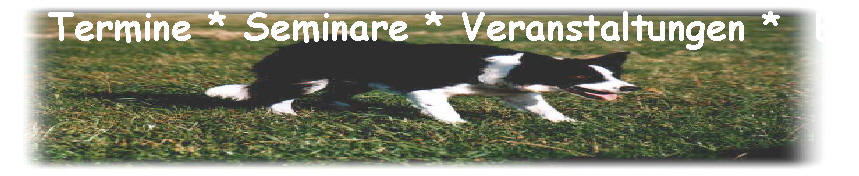 Termine * Seminare * Veranstaltungen *  Ereignisse