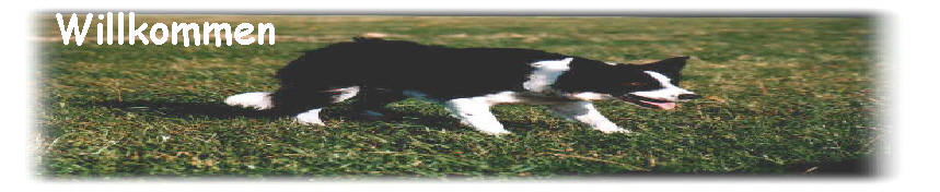 Willkommen